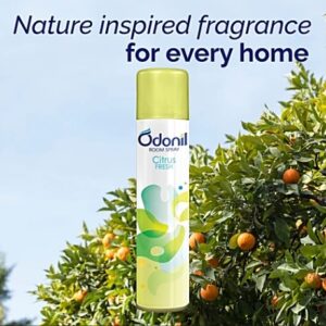 ODONILL ROOM SPRAY CITRUS FRESH 220ML