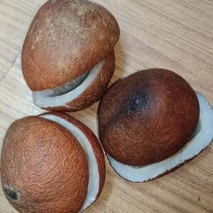 ENDU KOBBARI 100GM