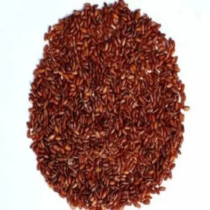 prabhakar brand navara rice kg